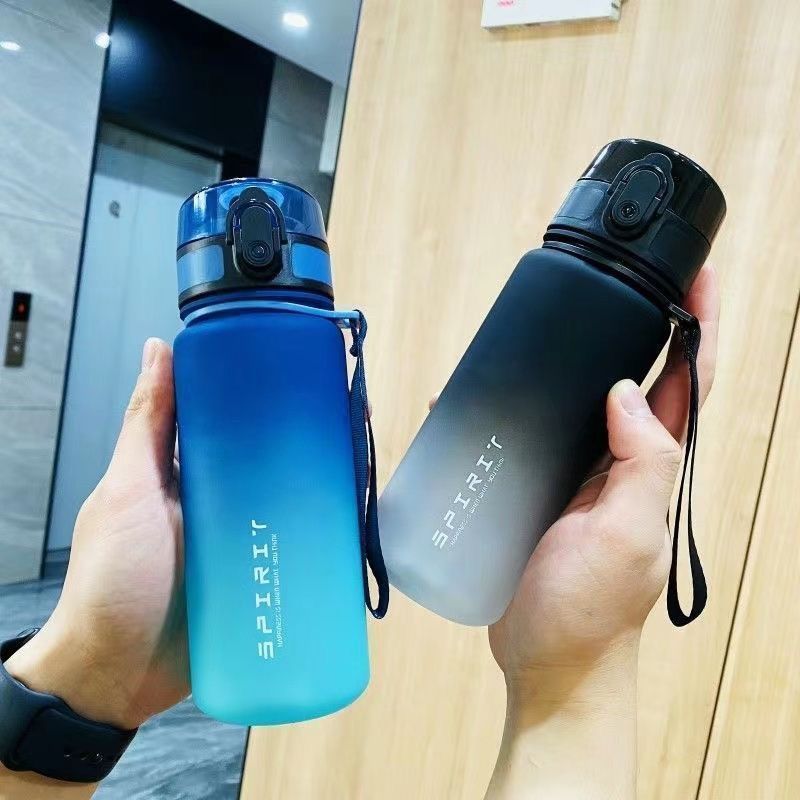 Gourde de Randonnée Grande Capacité  500ml a 1000ml