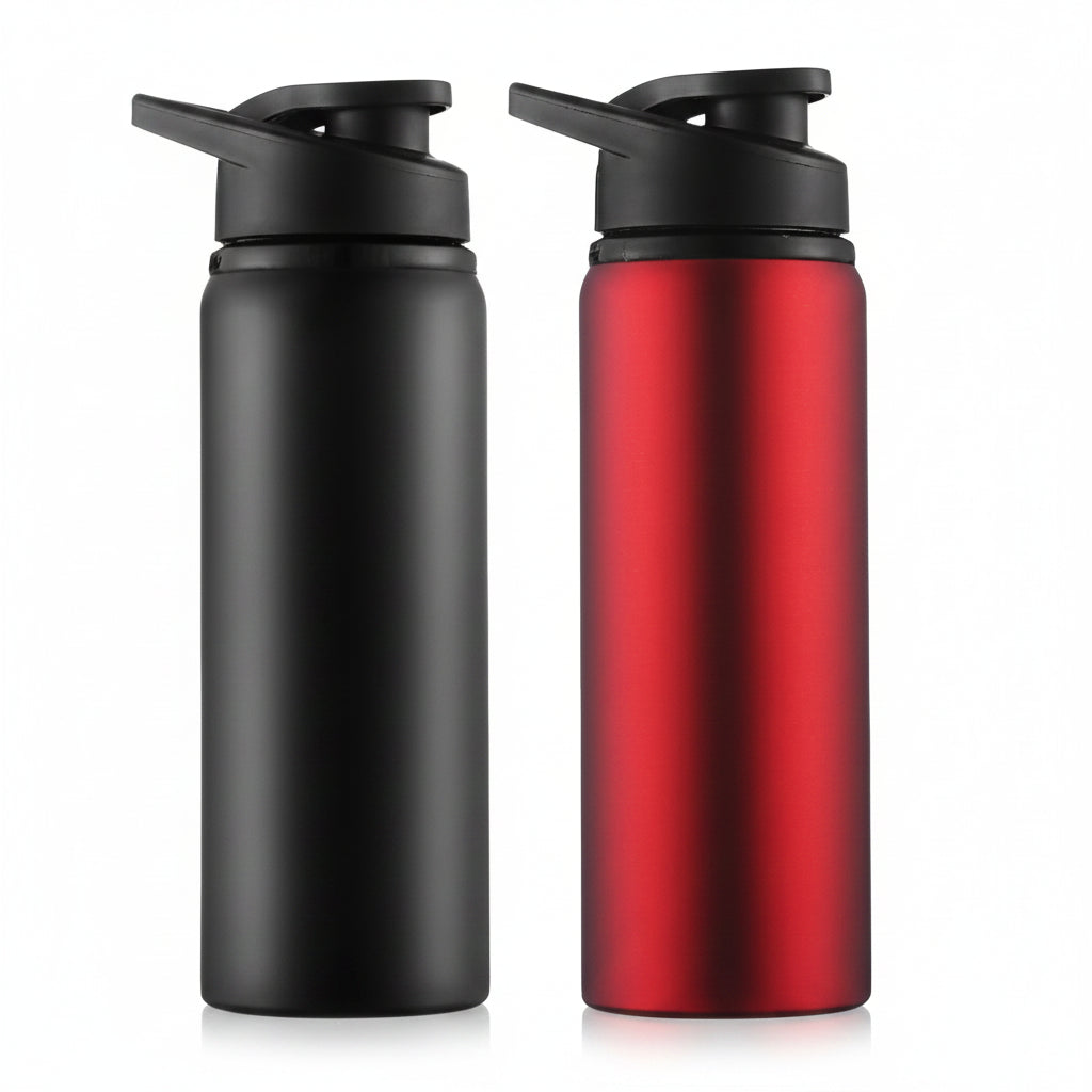 Gourde de Randonnée Métallique Étanche 750ml